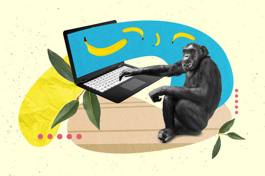 Metaphor template advert contact zoo collage photo of funny wild animal monkey orangutan order online banana isolated on green background