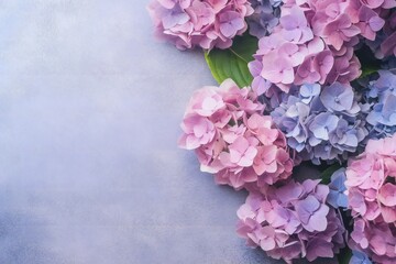 Hydrangea floral soft background with empty copy space Generative AI