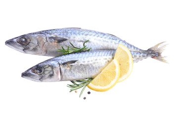 Fish mackerel isolated  - obrazy, fototapety, plakaty