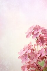 Hydrangea floral soft background with empty copy space Generative AI
