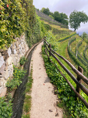 Waalweg and hiking trail in South Tyrol