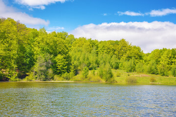 scenery with mountain pond. forest reflecting in the water surface. warm april weather