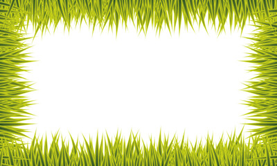 Super realistic green grass border or frame isolated on transparent background.