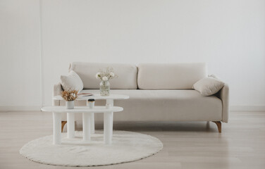 stylish bright living room with a white sofa and a white coffee table.