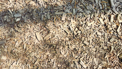 Abstract background and texture of sawdust and pieces of wood. Texture, pattern, frame, copy space. Brown or grey mulch used for gardening and landscape decoration