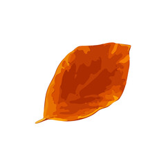 Autumn Leaf Icon Isolated, Colored Autumn Tree Leaves Symbol, Red Orange Foliage Silhouette, Fall Leaf Contour