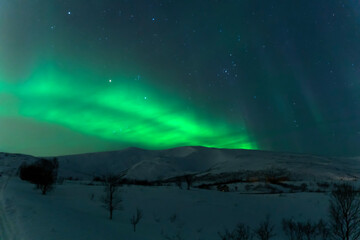 aurora boralies northern lights in norway