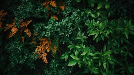 Fototapeta na wymiar Green foliage background