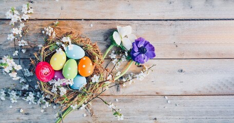 Nest with Easter eggs and spring flowers on old rustic wooden board , table - Easter decoration and background banner with copy space