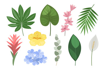 Tropical set of hand drawn flowers and leaves. Vector botanical illustration.