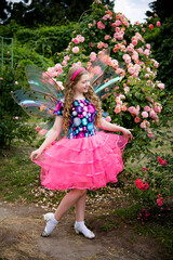 little beautiful blonde girl in pink and blue dress with fairy wings walking in roses garden on sunny summer day