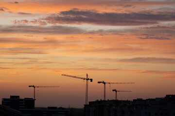 sunset over the city with cranes