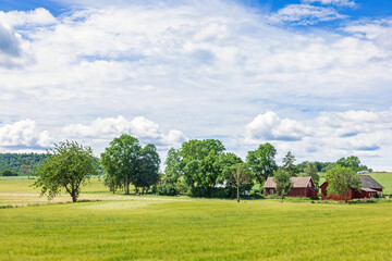 Farm in a tree grove at the countryside