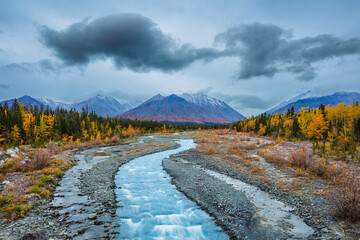 Landscape with mountains, boreal forest in autumn colors and river in the blue hour before sunrise, Yukon territory, Canada - obrazy, fototapety, plakaty
