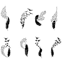 Feather To Birds SVG, Feather and birds Bundle SVG, Feather with birds Clipart, Feathers SVG, Feather with Birds Silhouette, Birds of a Feather SVG, Feather birds svg, Feather and Birds, 