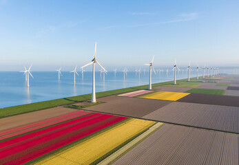 Aerial view of tulip fields and wind turbines in the Flevoland