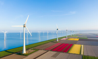 Aerial view of tulip fields and wind turbines in the Flevoland