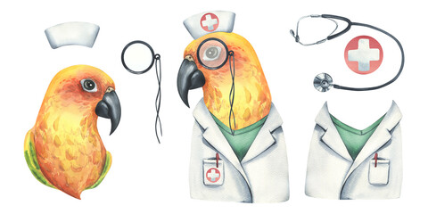 Yellow parrot is a doctor, in a medical gown and a cap with pince-nez. Watercolor illustration. Isolated objects on a white background from the VETERINARY collection. For the design. - obrazy, fototapety, plakaty