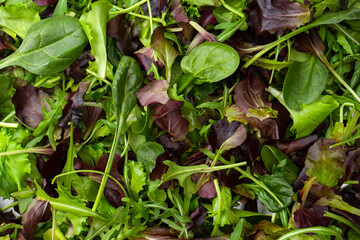 Fresh mix of salads with edible flowers. Top view.