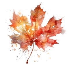 Autumn leaf painted with watercolor isolated on white transparent background