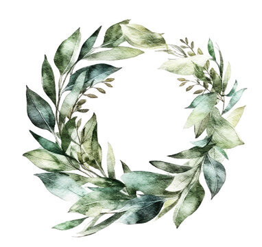 Laurel wreath green leaves painted with watercolor isolated on white transparent background.