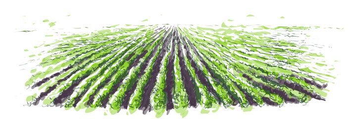 Vector farm field landscape. Pattern of plowed furrows in preparation for crops planting. Rows of soil, rural countryside perspective horizon view. Watercolor realistic sketch illustration.