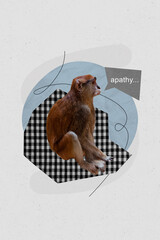Collage picture artwork sketch of jungle exotic little animal primate bad negative emotion low...