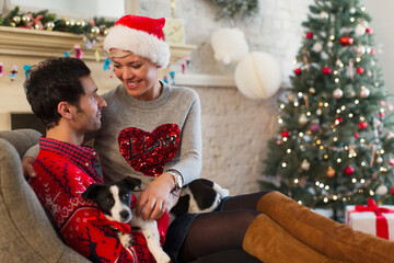 Affectionate couple dog relaxing in living room Christmas tree