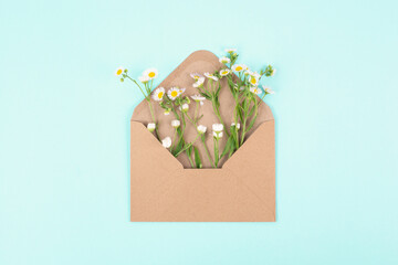 Envelope with daisy flowers, greeting card for mother and grandmother, birthday in summer, gift with wildflower