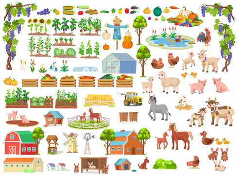 Big farm set. Set of farm in a cartoon style. Vector illustration with animals, agricultural building, plants, trees, fruits, vegetables on white background for children