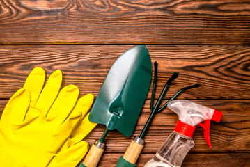 Garden tools on the background of a brown wooden table
