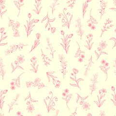 Flowers, gentle, pink color