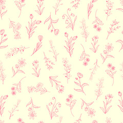 Flowers, gentle, pink color
