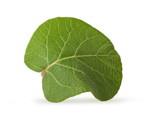 Obraz premium Three whole kiwi fruit