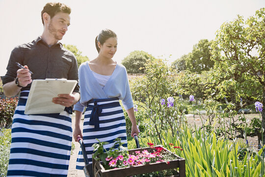 Plant nursery workers clipboard wheelbarrow flowers in sunny garden