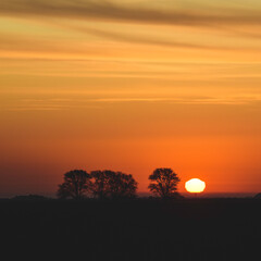 Rural sunset landscape, Buenos Aires province , Argentina