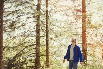 Smiling man hiking looking up at trees in sunny woods