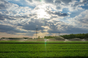 Irrigation farmland， Water-saving devices irrigate fields - obrazy, fototapety, plakaty