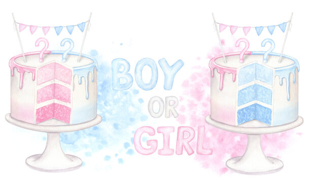 Banner boy or girl. Cake with blue pink filling. Hand drawn watercolor illustration isolated on white background. For gender reveal party, baby shower, children's holiday