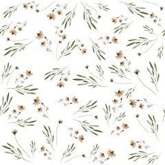 Seamless pattern with watercolor flowers. Wildflowers, boho pattern, delicate herbs, leaves and branches.