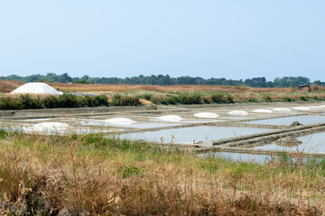 marais salants , île de Noirmoutier, 85, Vendée, France