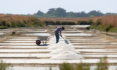 marais salants , île de Noirmoutier, 85, Vendée, France