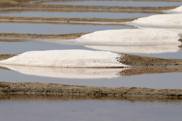 marais salants , île de Noirmoutier, 85, Vendée, France
