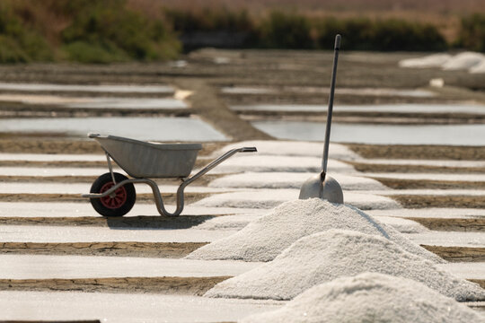 marais salants , &icirc;le de Noirmoutier, 85, Vend&eacute;e, France