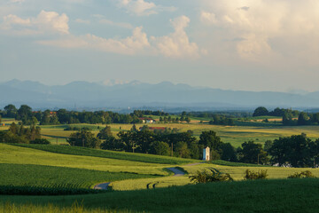 Fototapeta na wymiar landscape with fields and blue sky