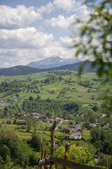 landscape in the morning