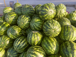 Mountain with large ripe watermelons
