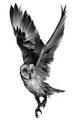 sketch owl bird in flight on a white background - 614781700