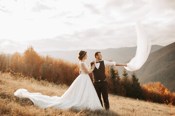 Happy wedding couple posing over a beautiful mountain landscape. wedding veil in the air