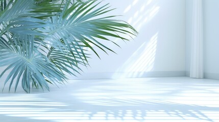 Fototapeta na wymiar Light blue wall with shade and plant on the floor in a vase